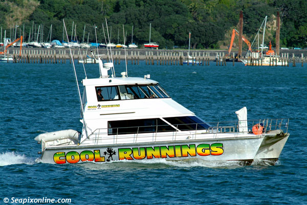 Cool Runnings ID 1351